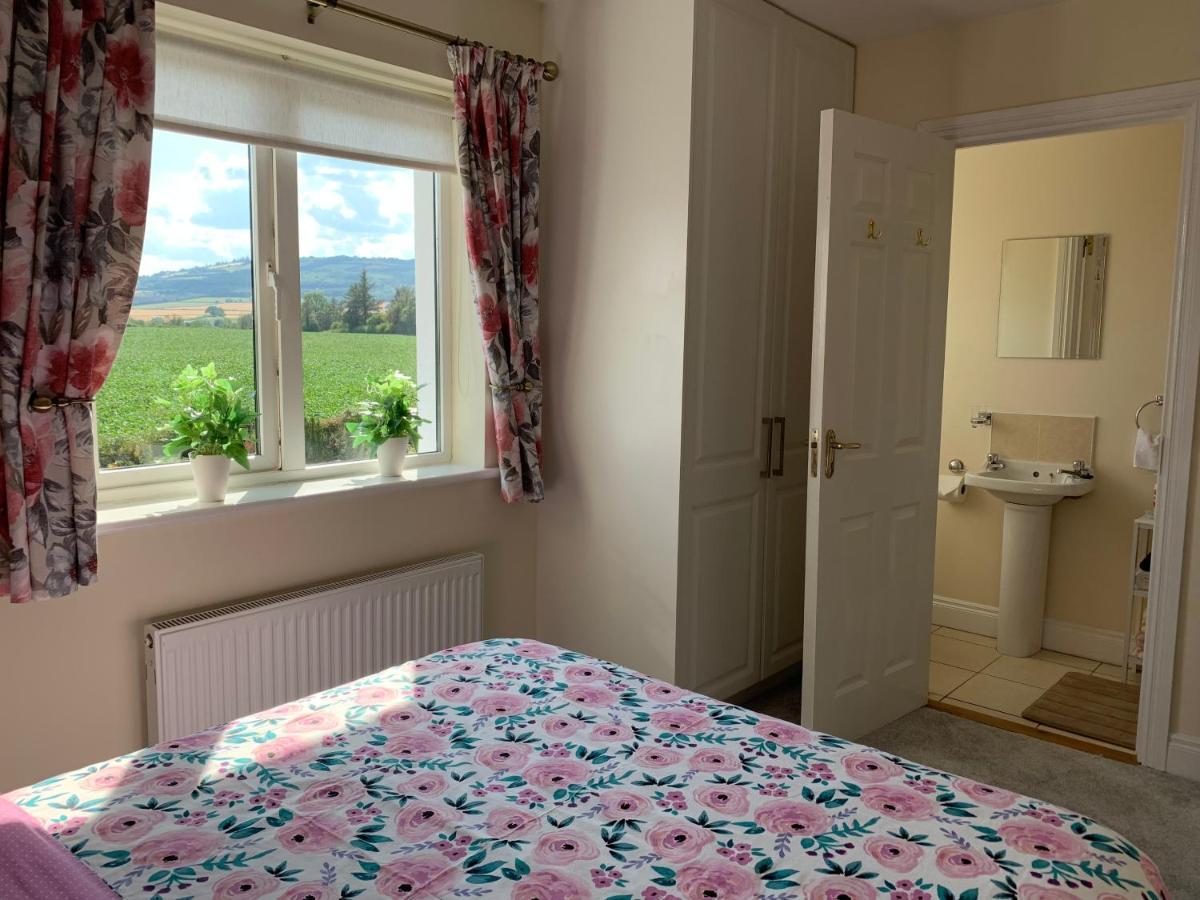 Two Bedroom Town House Beside The River Barrow Carlow Luaran gambar